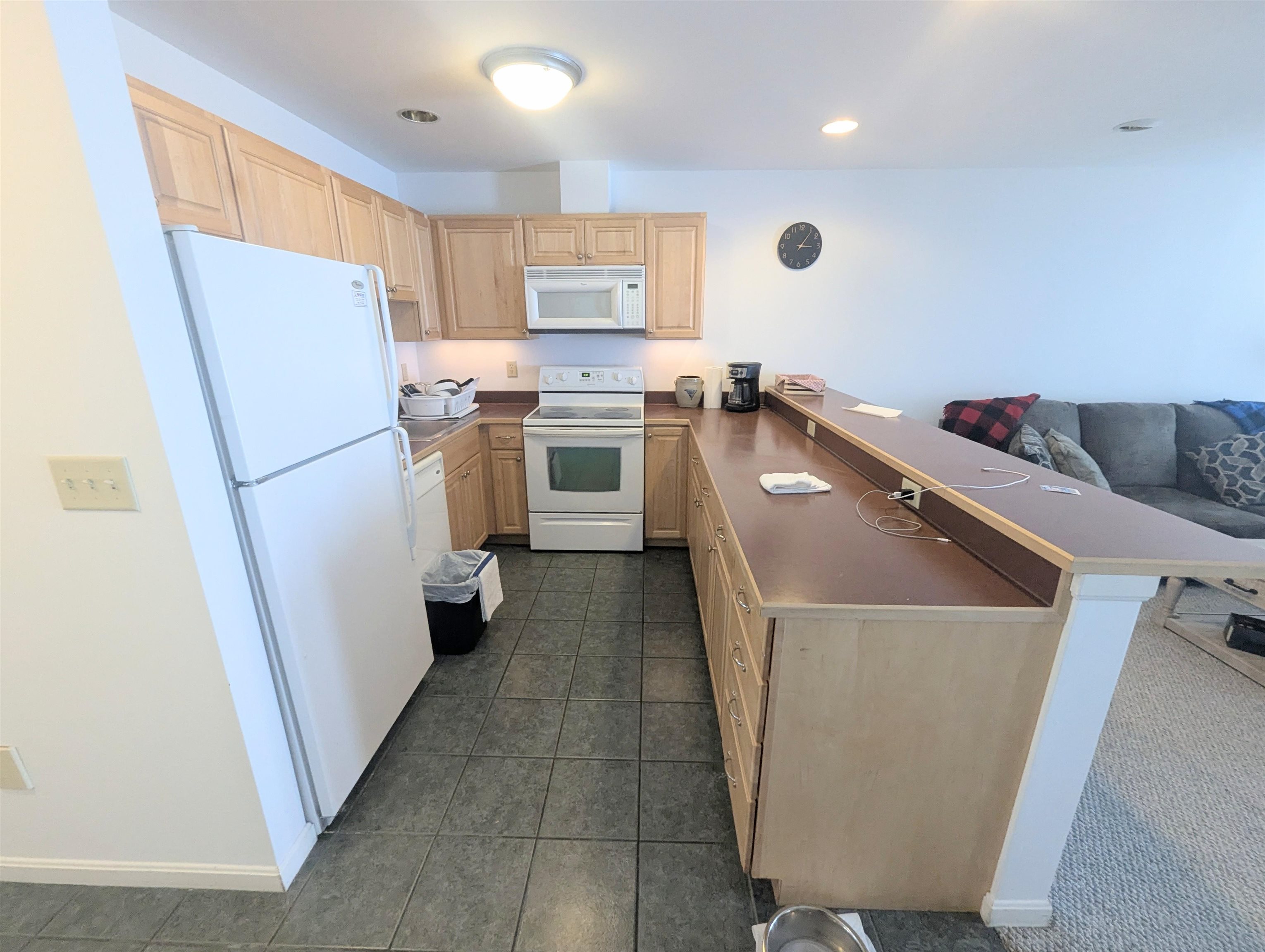 210 Powderhorn Road, Unit 1102 Burke, VT 05832 - Photo 7 of 32