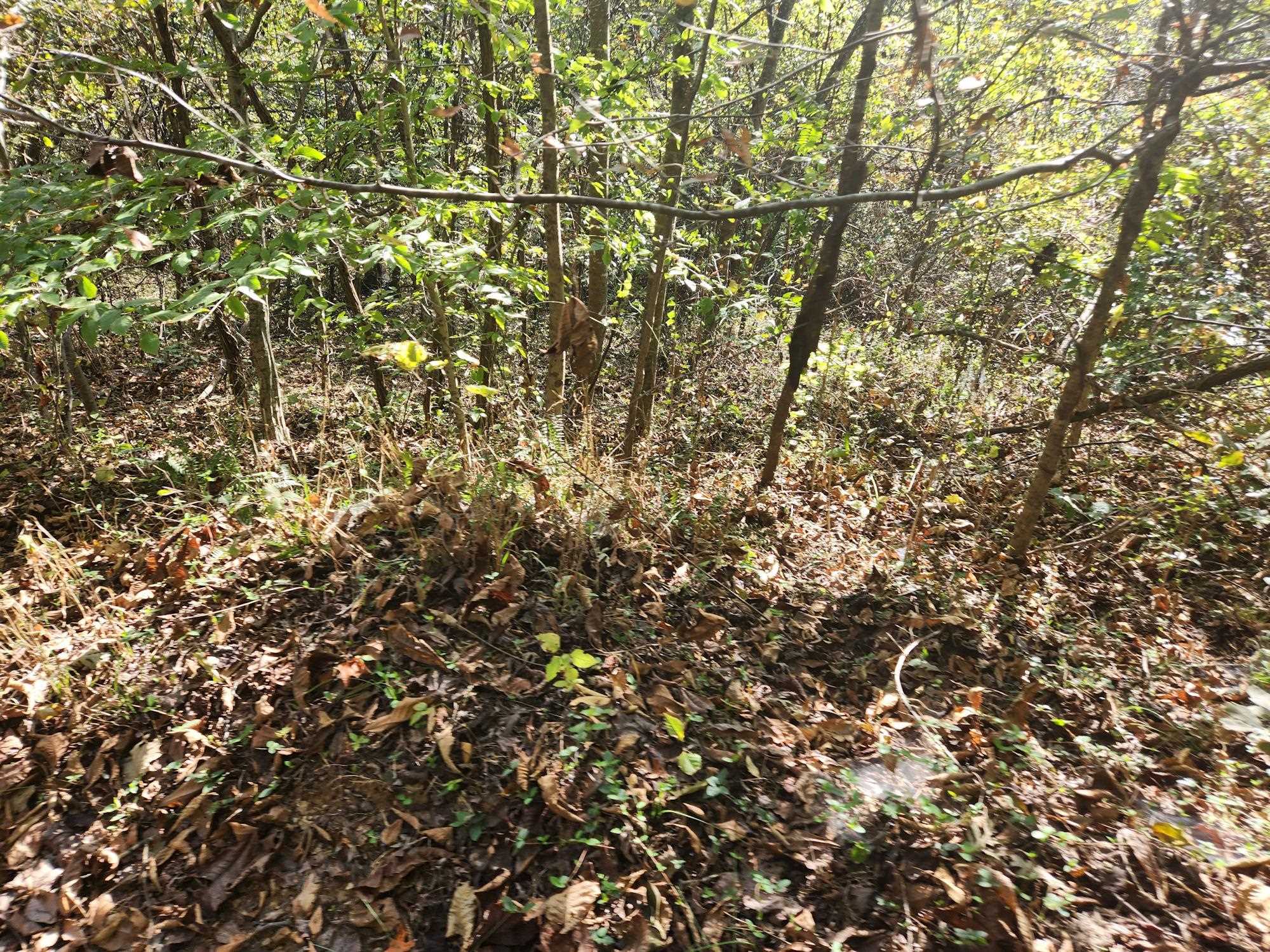 0 Kiser Fork Road Grayson, KY 41143 - Photo 35 of 48 Gallery Image 35