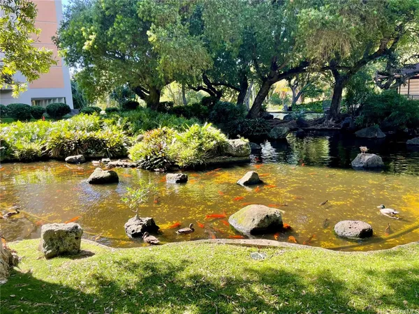 a view of a swimming pool with lawn chairs and a large tree