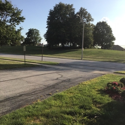 47 Red Barn Road Matteson, IL 60443 - Photo 8 of 8 a view of a field