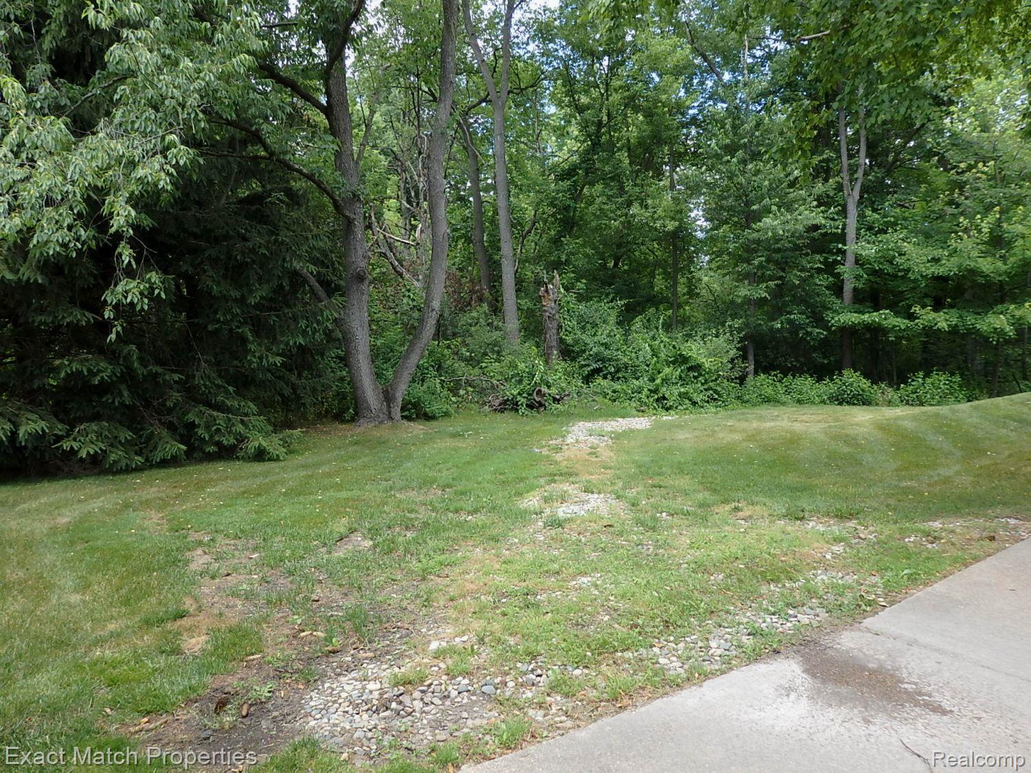 Wooded common area right next to your building