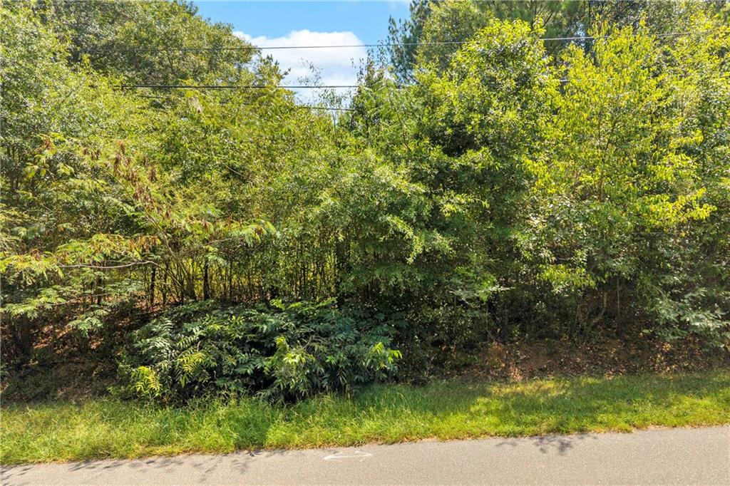 0 Poplar Road Commerce, GA 30529 - Photo 7 of 28 Gallery Image 7