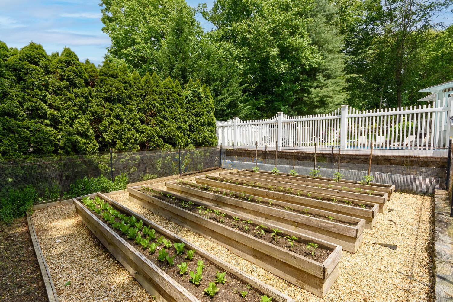 32 Barringer Road Darien, CT 06820 - Photo 25 of 28 a view of a backyard with a lake view