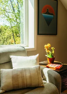 a living room with a couch and a potted plant