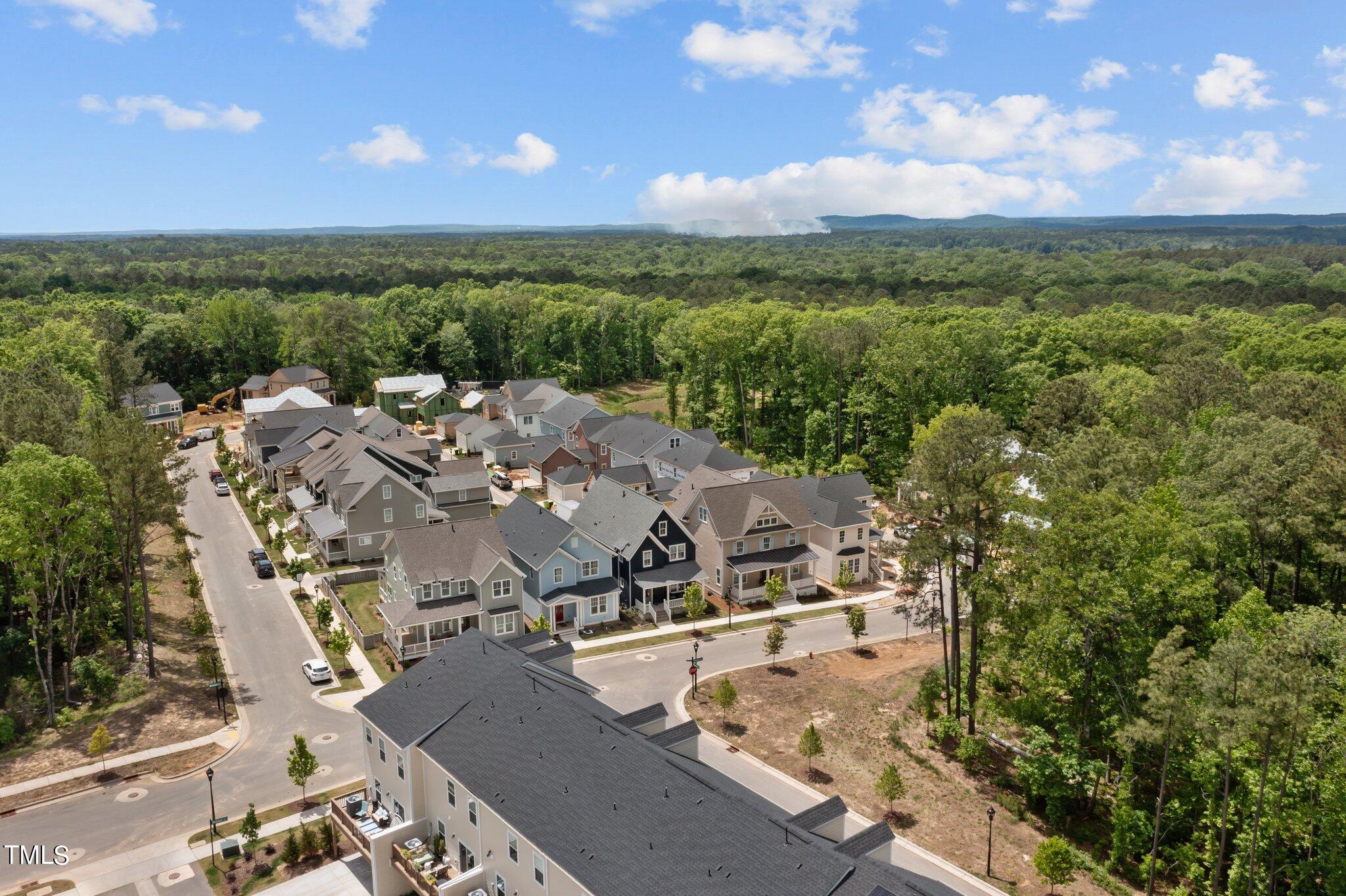 1007 Whitehall Circle Durham, NC 27713 - Photo 75 of 77 72-web-or-mls-DJI_0947