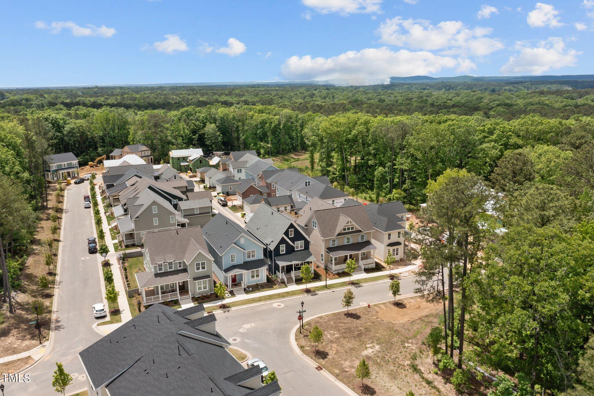 1007 Whitehall Circle Durham, NC 27713 - Photo 77 of 77 74-web-or-mls-DJI_0950