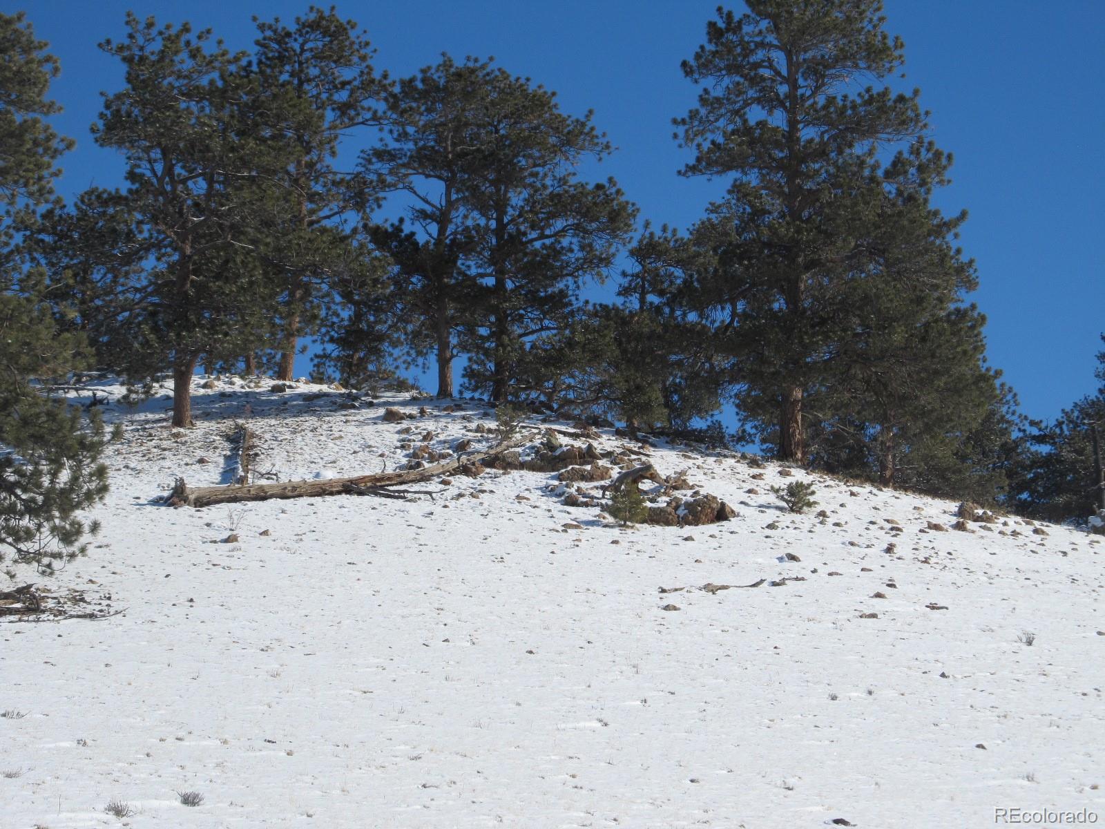 7216 Atoka Road Hartsel, CO 80449 - Photo 8 of 9 Gallery Image 8