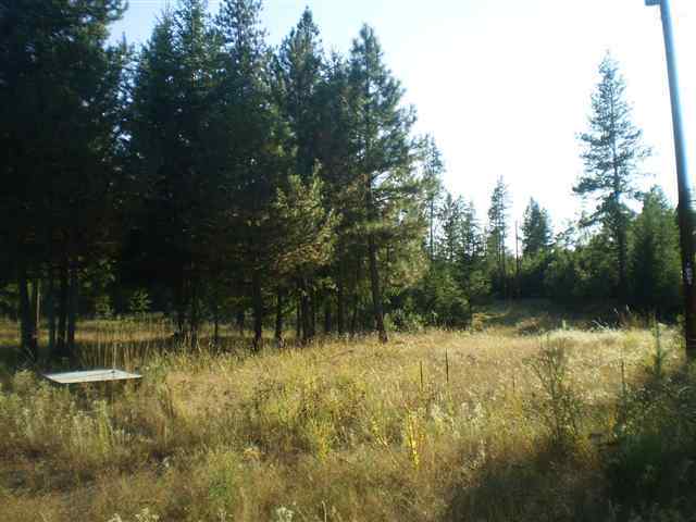 3714 East Findley Road Deer Park, WA 99006 - Photo 2 of 9 Gallery Image 2