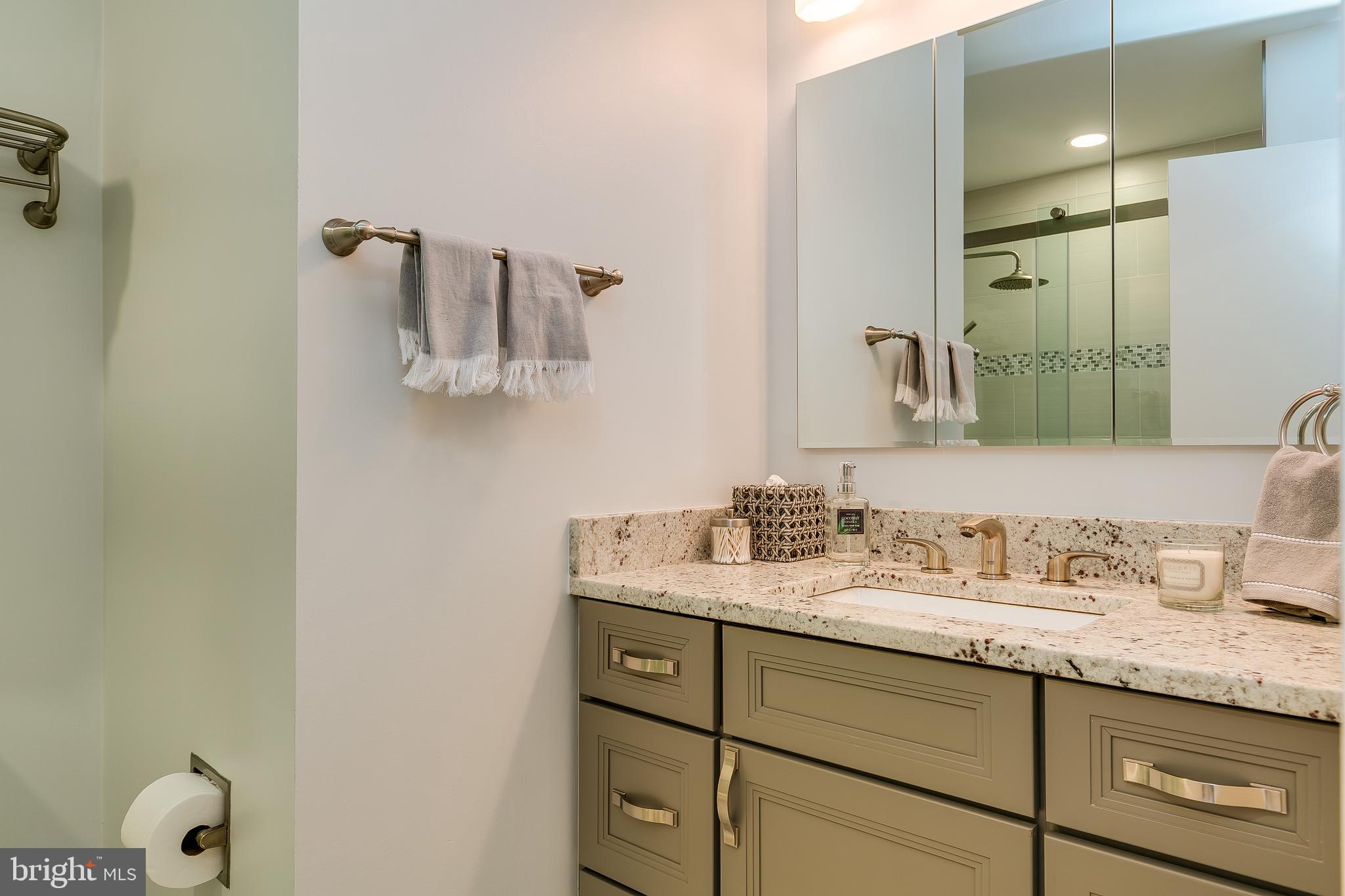 1589 Inlet Court Reston, VA 20190 - Photo 16 of 36 Gorgeous, custom Master Bath