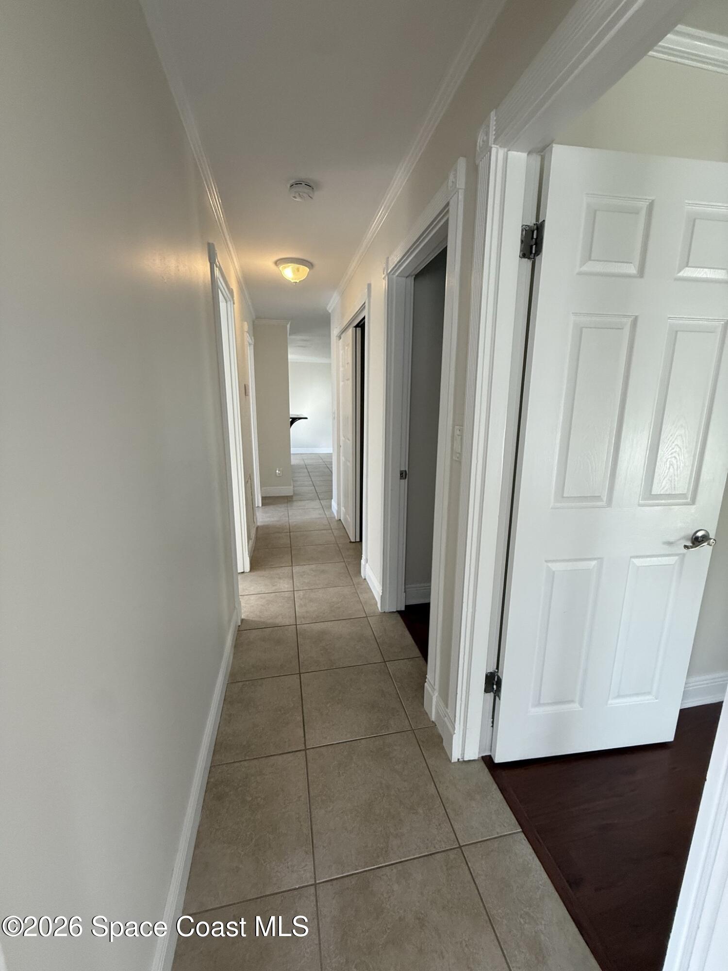 3383 Alice Street Melbourne, FL 32904 - Photo 18 of 24 623416089_10239575187427850_886755020380