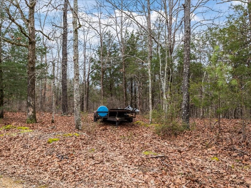 40 Long Point Road Linden, TN 37096 - Photo 39 of 40