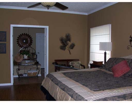 52441 Wilson Road Folsom, LA 70437 - Photo 6 of 10 Gallery Image 6