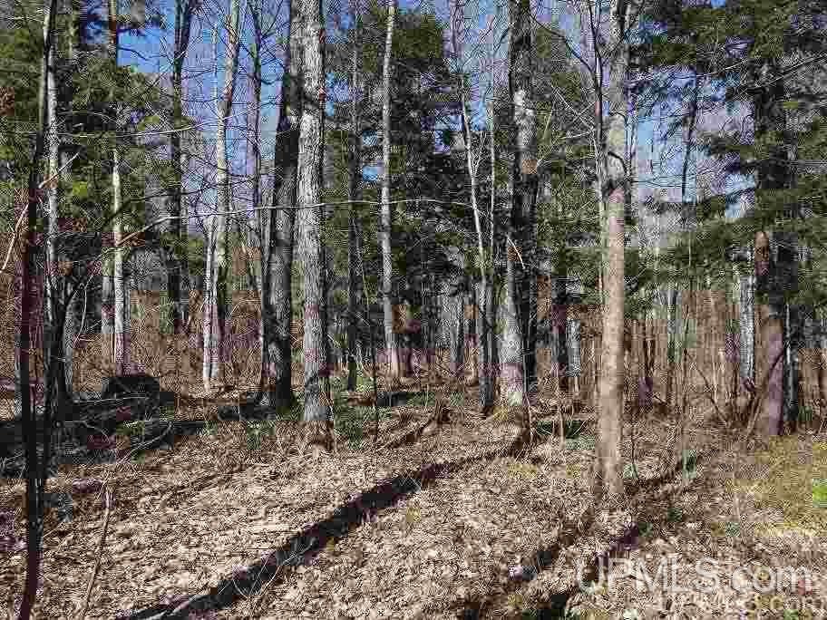 Tbd Off Ravine River Road Skanee, MI 49962 - Photo 11 of 20