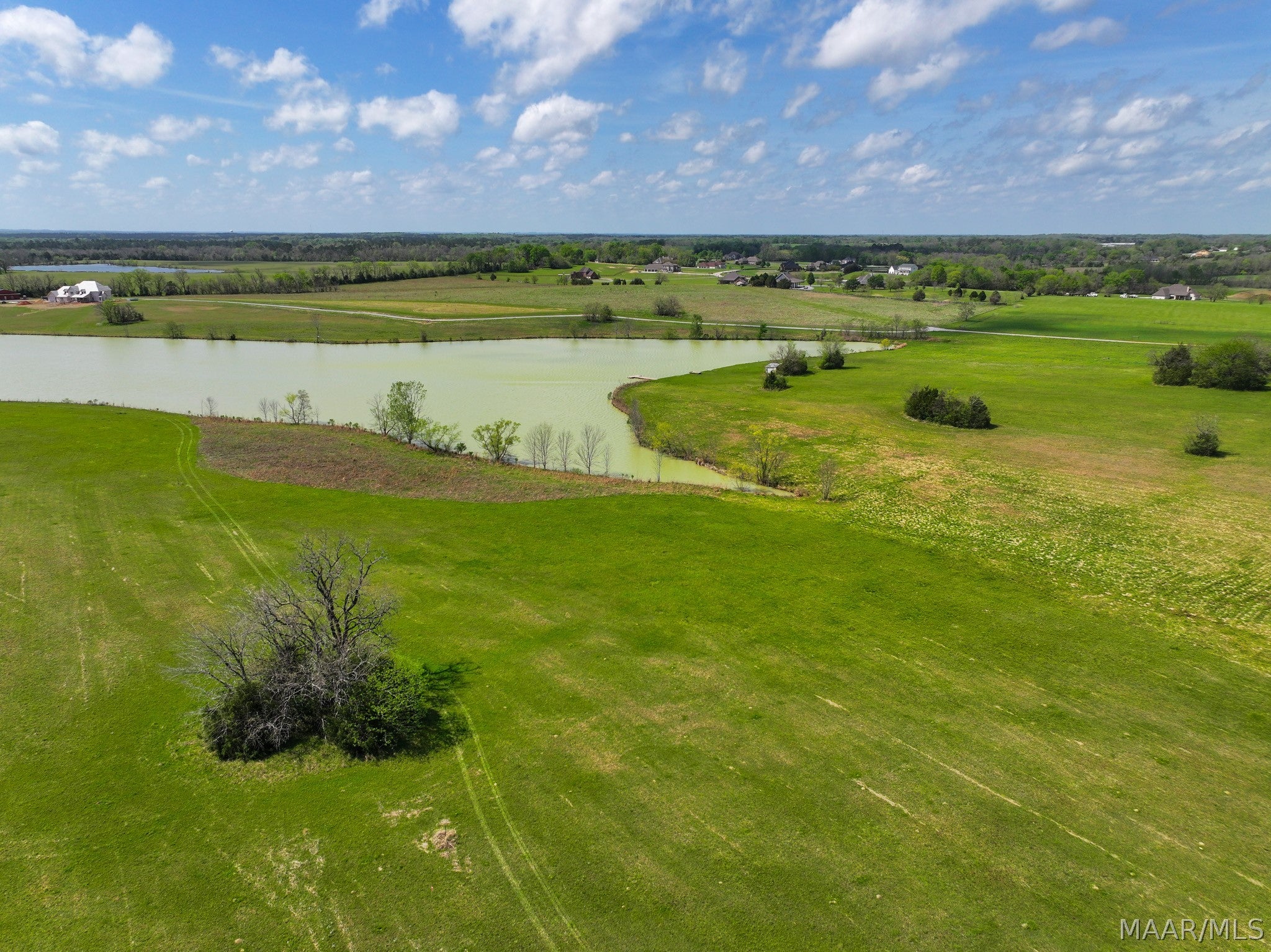 0 Mathews Road Mathews, AL 36052 - Photo 2 of 16 Gallery Image 2