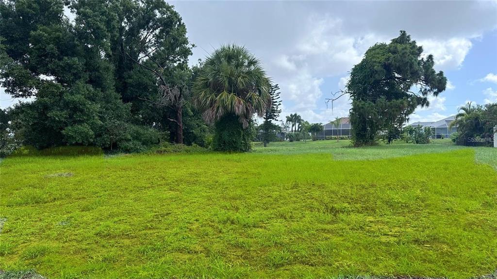 74 Mariner Lane Rotonda West, FL 33947 - Photo 6 of 7 a view of a grassy field with trees