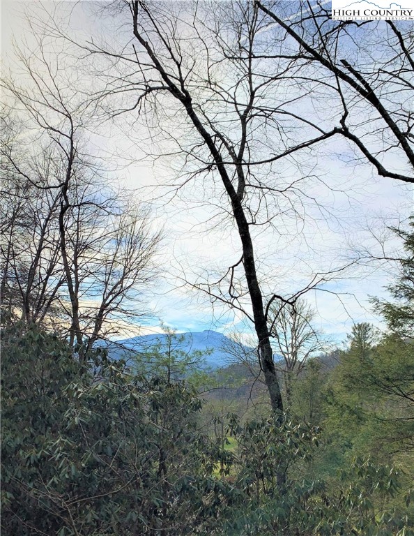 Lot #12 Pine Street Boone, NC 28607 - Photo 1 of 6 Gallery Image 1