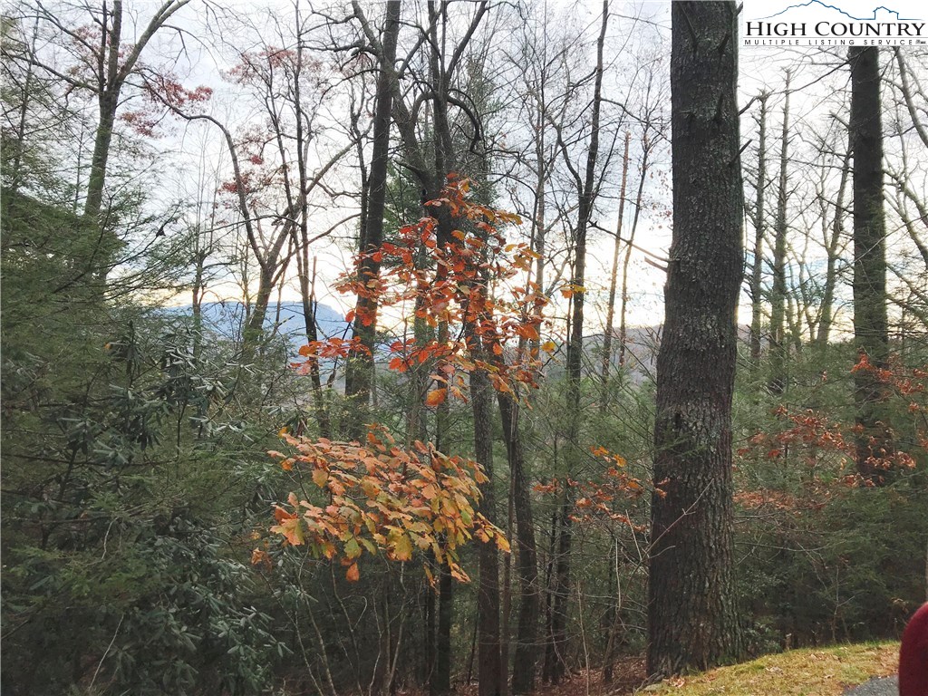 Lot #12 Pine Street Boone, NC 28607 - Photo 3 of 6 Gallery Image 3