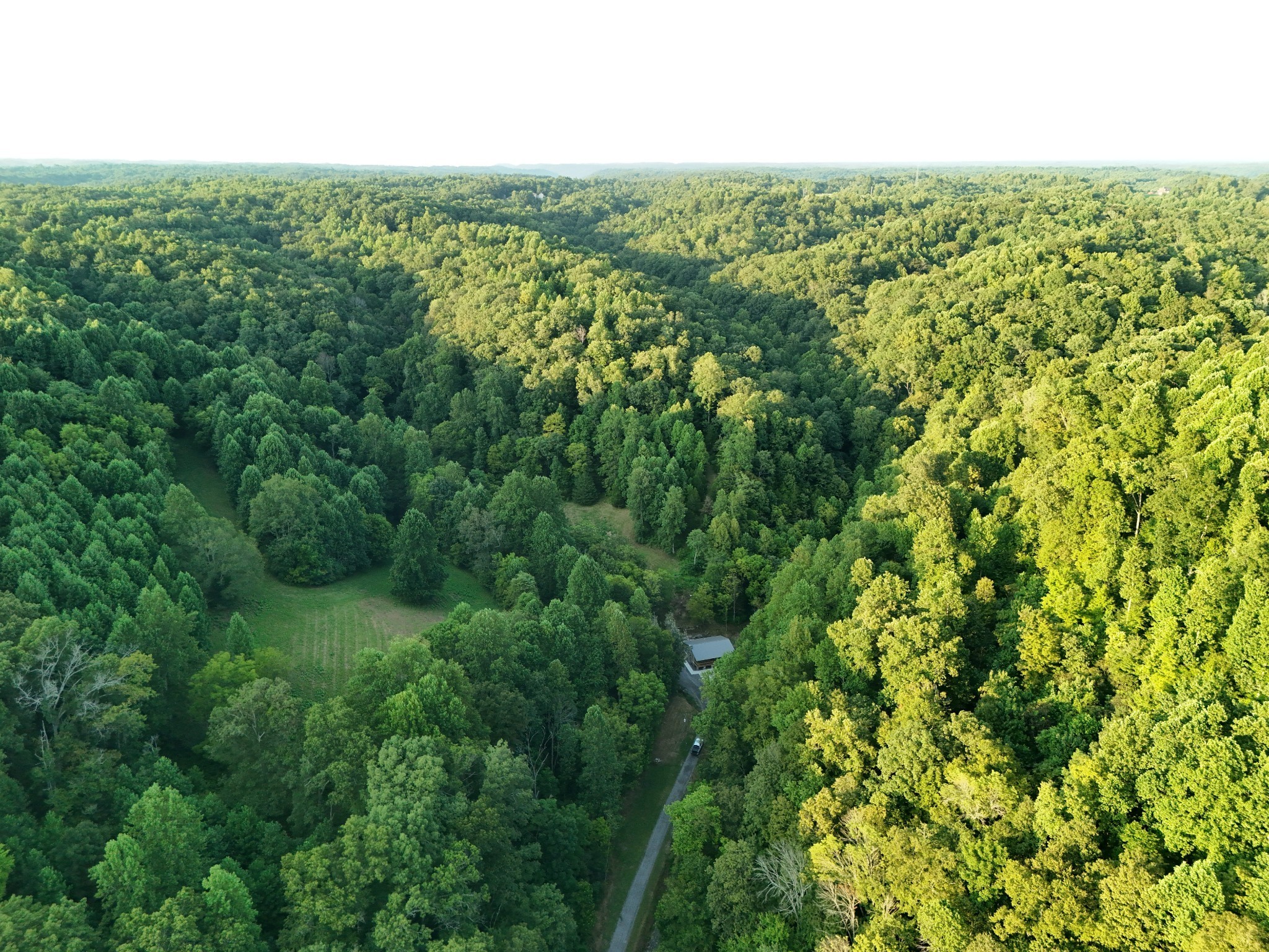 778 Jones Hollow Road Woodbury, TN 37190 - Photo 15 of 19 an aerial view of residential houses with outdoor space and trees