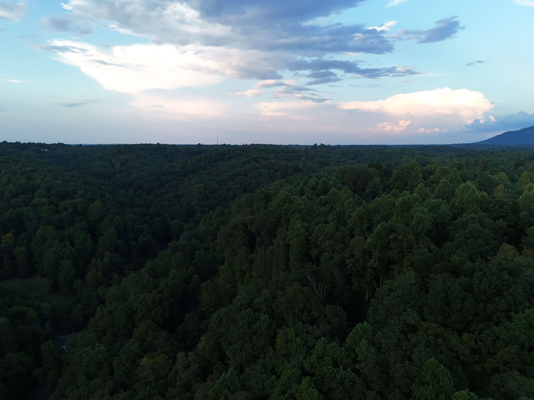 778 Jones Hollow Road Woodbury, TN 37190 - Photo 18 of 19 a view of a yard and an ocean