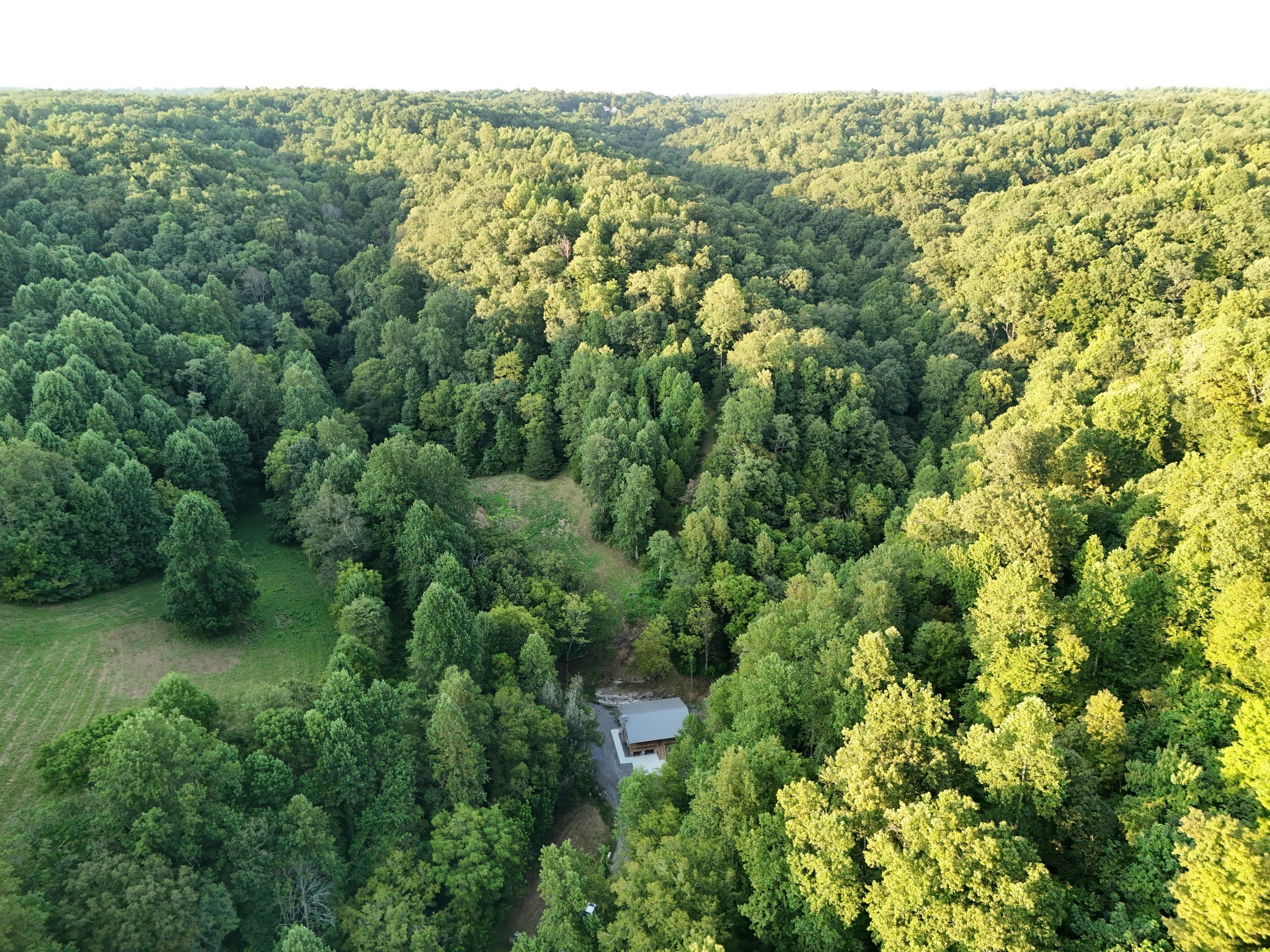 778 Jones Hollow Road Woodbury, TN 37190 - Photo 19 of 19 a view of a green field with lots of bushes