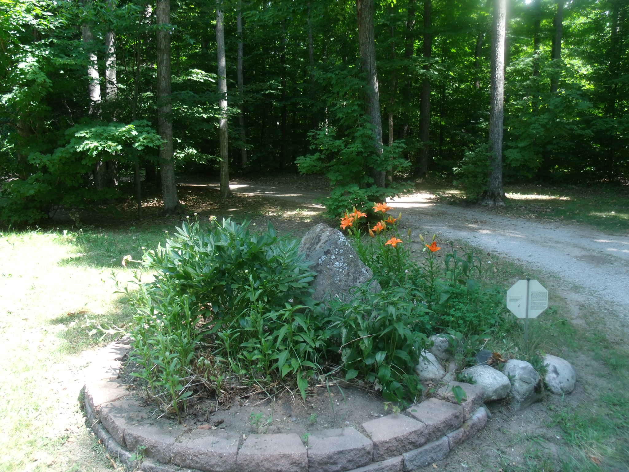 4183 North Ayr Road Alanson, MI 49706 - Photo 64 of 64 Gallery Image 64
