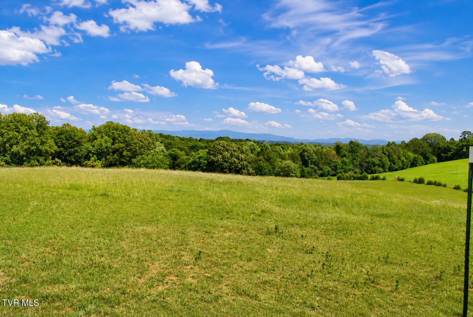 710 Colvert Road Mosheim, TN 37818 - Photo 51 of 57 land view
