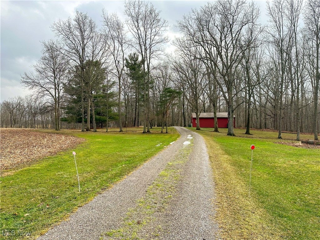 51689 Becker Road Wakeman, OH 44889 - Photo 26 of 47 Approach to the house