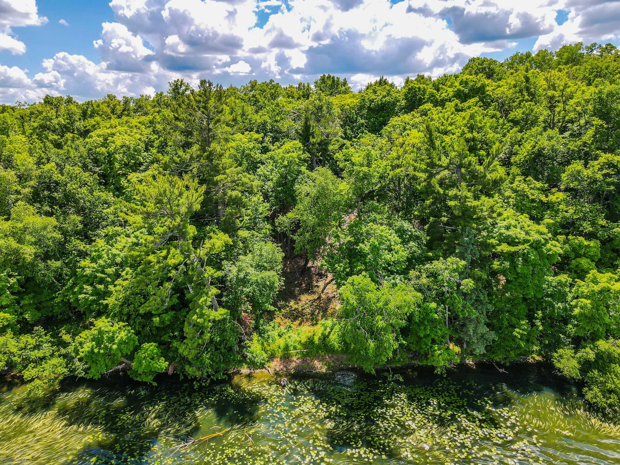 44698 Idas Road Osage, MN 56570 - Photo 14 of 18
