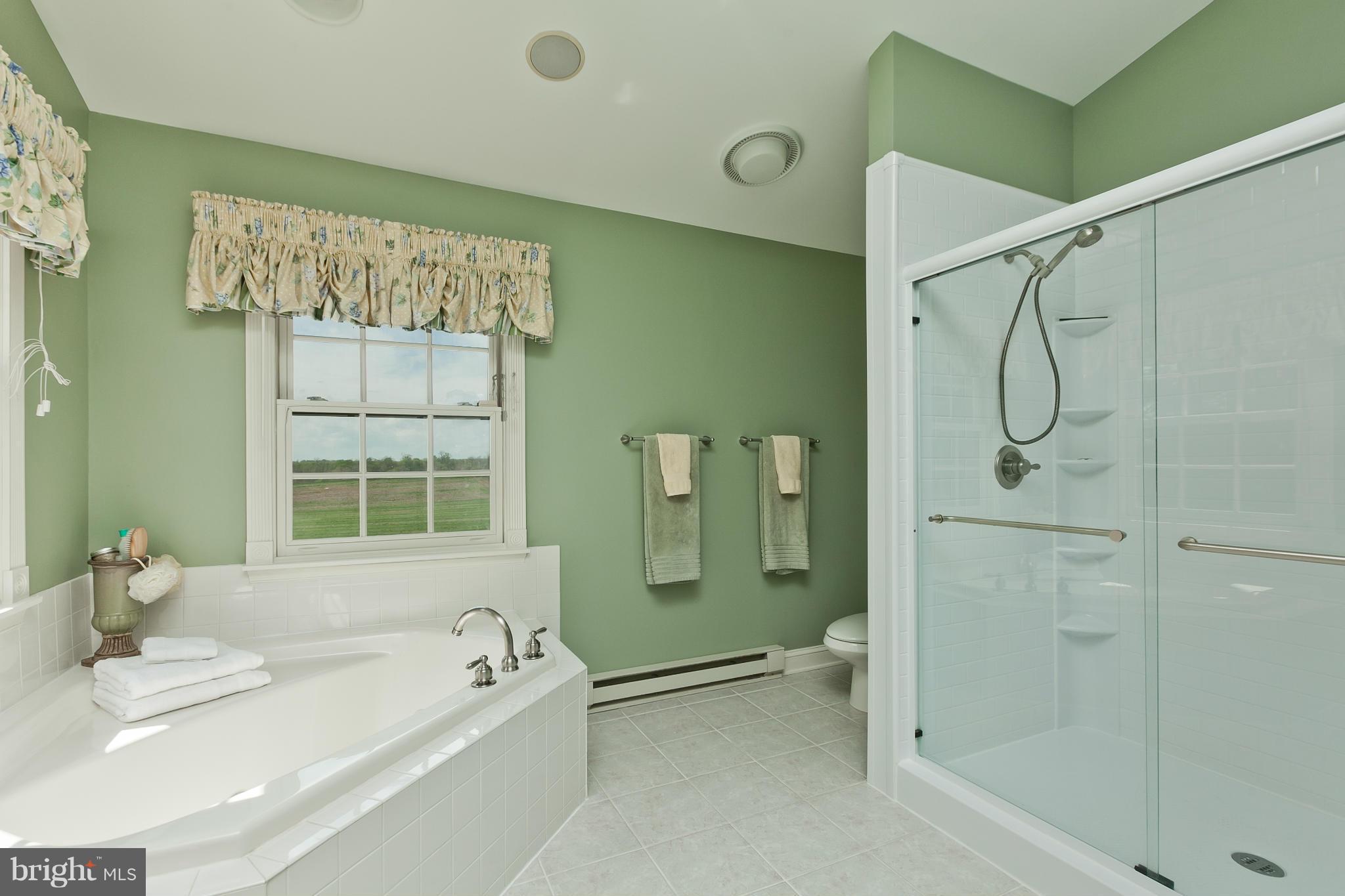 22342 Durberry Road Smithsburg, MD 21783 - Photo 19 of 30 Bath (Master)