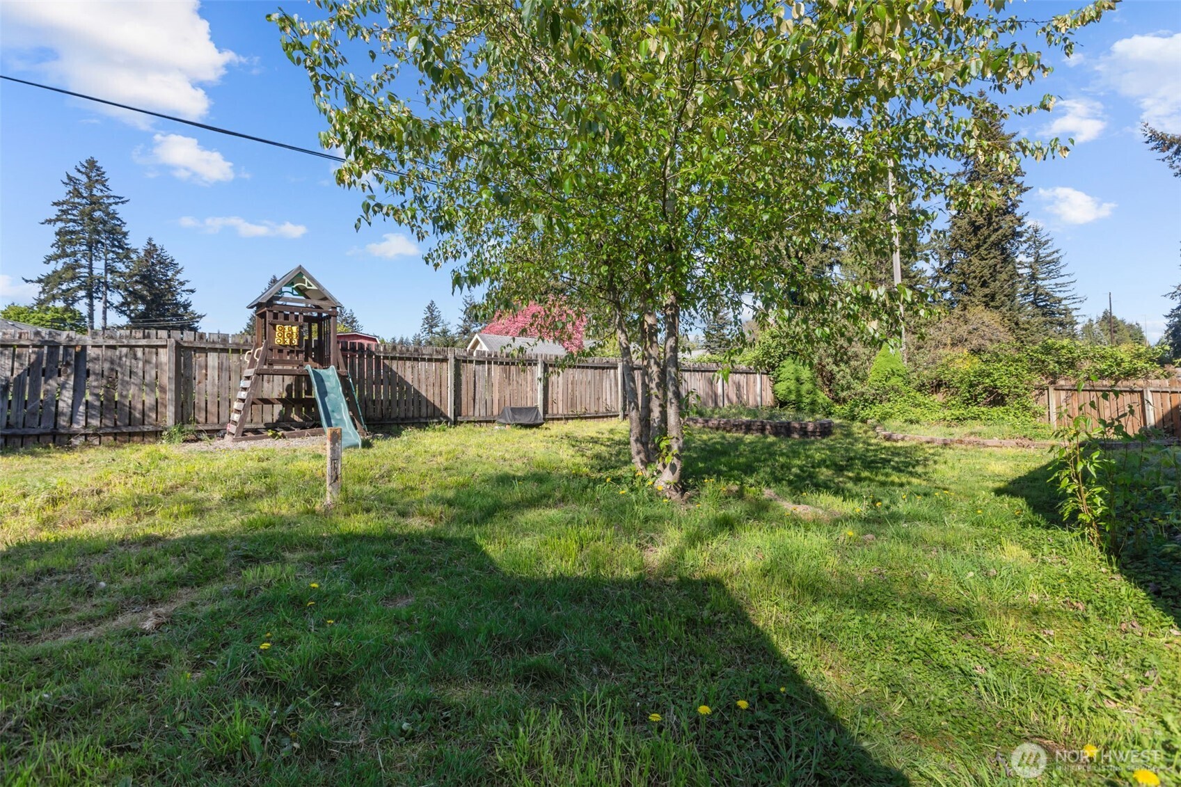 16022 126th Avenue Southeast Renton, WA 98058 - Photo 29 of 35 a view of a yard with a tree
