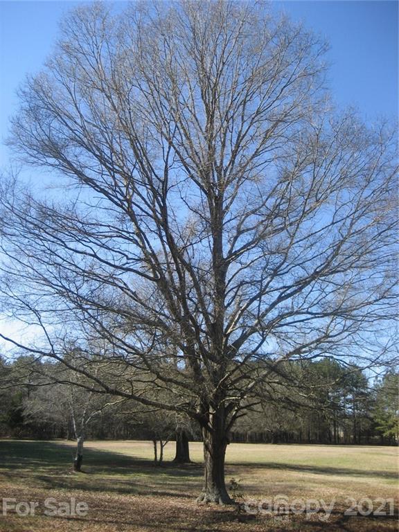0 North Shiloh Road York, SC 29745 - Photo 7 of 9 Gallery Image 7
