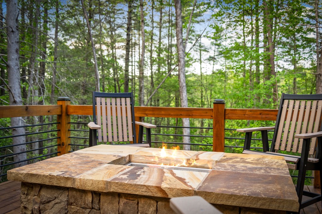 42 Rolling Rapids Blue Ridge, GA 30513 - Photo 74 of 88 Gallery Image 74
