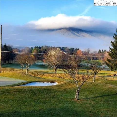 a view of a swimming pool with an outdoor seating and a garden