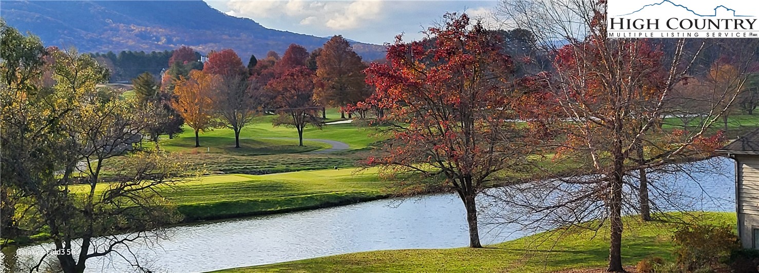 233 Lakeview Place, Unit D2 Jefferson, NC 28640 - Photo 49 of 49 a view of a garden with an trees
