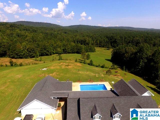 2265 State Lake Road Lineville, AL 36266 - Photo 33 of 39