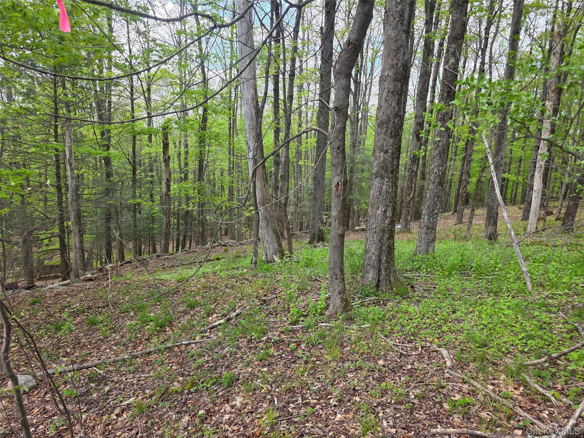 Wade Road Fallsburg, NY 12733 - Photo 1 of 6