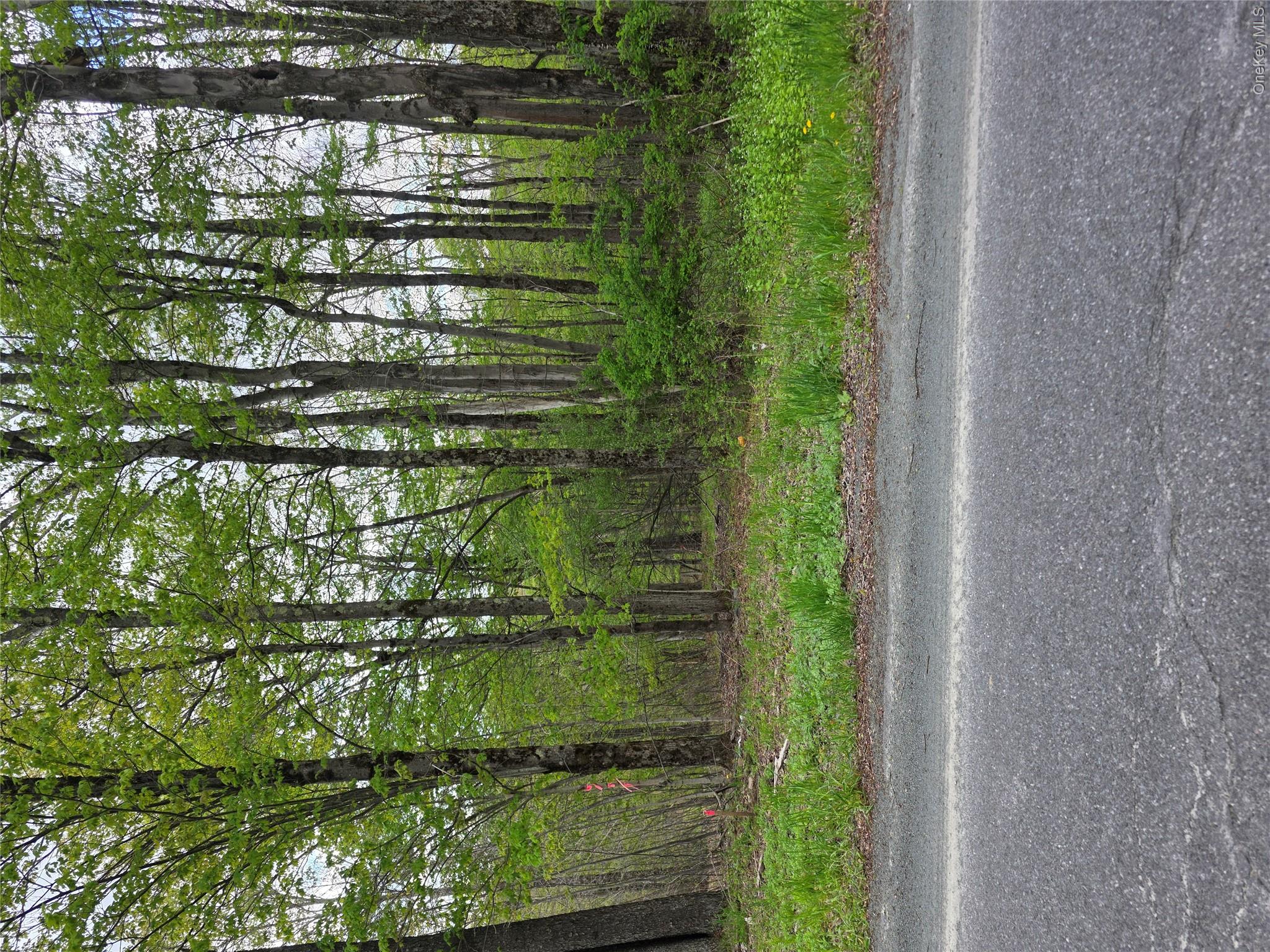 Wade Road Fallsburg, NY 12733 - Photo 3 of 6