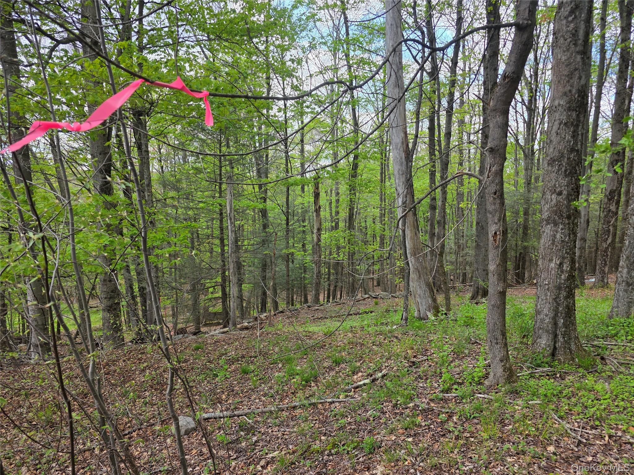 Wade Road Fallsburg, NY 12733 - Photo 4 of 6