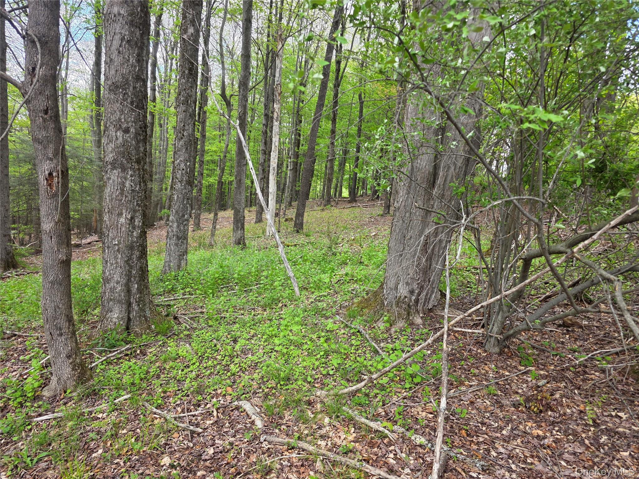 Wade Road Fallsburg, NY 12733 - Photo 5 of 6