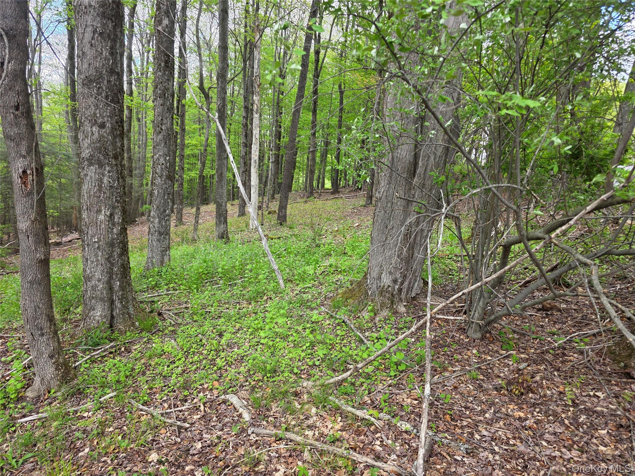 Wade Road Fallsburg, NY 12733 - Photo 6 of 6