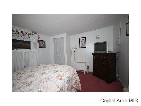3313 South 5th Street Springfield, IL 62703 - Photo 17 of 24