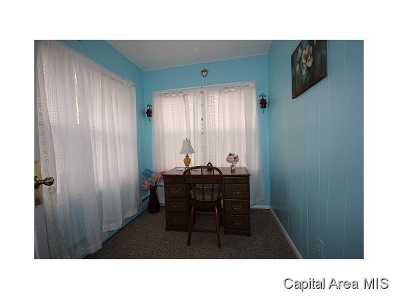 3313 South 5th Street Springfield, IL 62703 - Photo 4 of 24