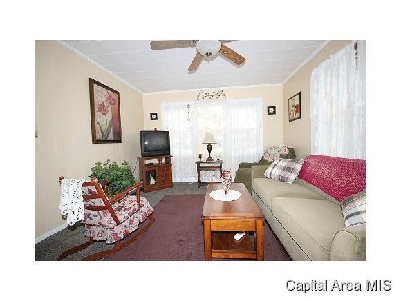3313 South 5th Street Springfield, IL 62703 - Photo 5 of 24