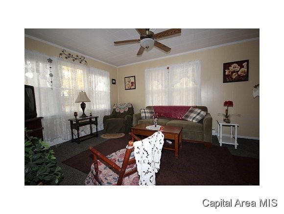 3313 South 5th Street Springfield, IL 62703 - Photo 6 of 24