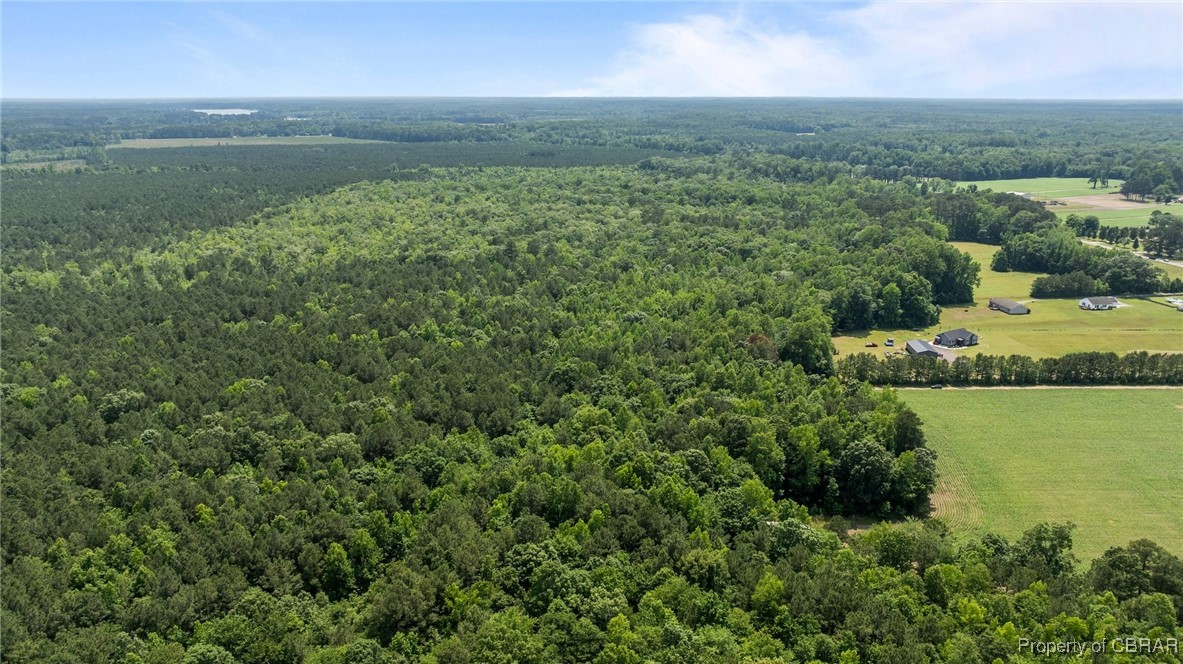 34 Acres Windsor Road North, VA 23128 - Photo 6 of 33