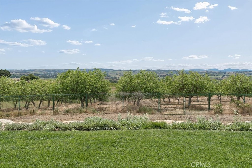 5565 High Ridge Road Paso Robles, CA 93446 - Photo 59 of 73 a view of a lake with a yard and large trees
