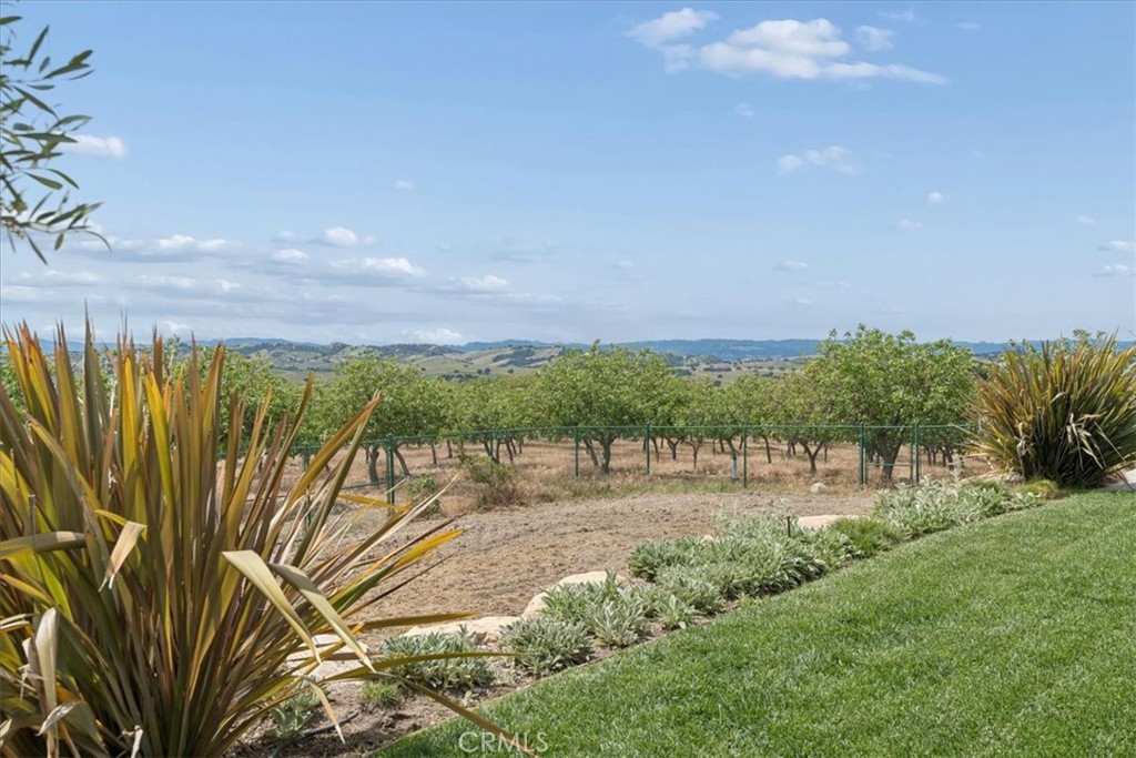 5565 High Ridge Road Paso Robles, CA 93446 - Photo 61 of 73 a view of a yard with a building in the background