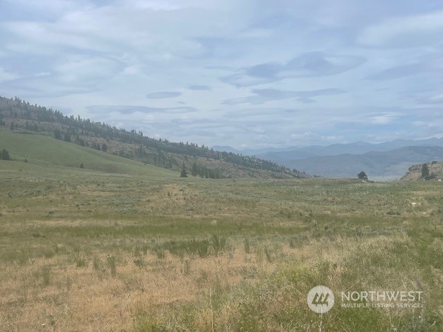 1111 Hardy Road Riverside, WA 98849 - Photo 7 of 7 Gallery Image 7