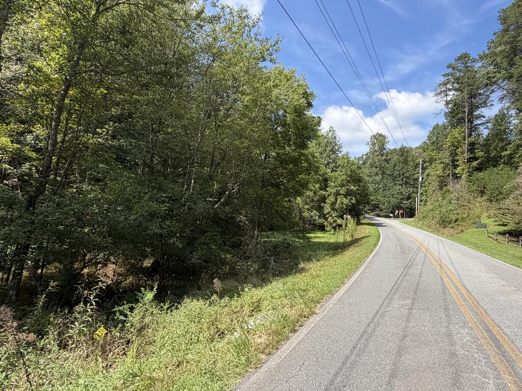 6.13-ac Lucius Road Blue Ridge, GA 30513 - Photo 8 of 21 Gallery Image 8