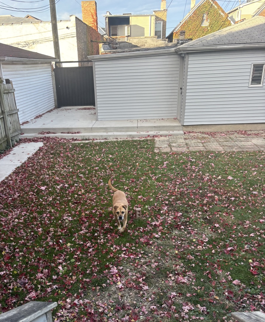 2846 North Troy Street, Unit 2 Chicago, IL 60618 - Photo 16 of 18 a view of a house with a yard